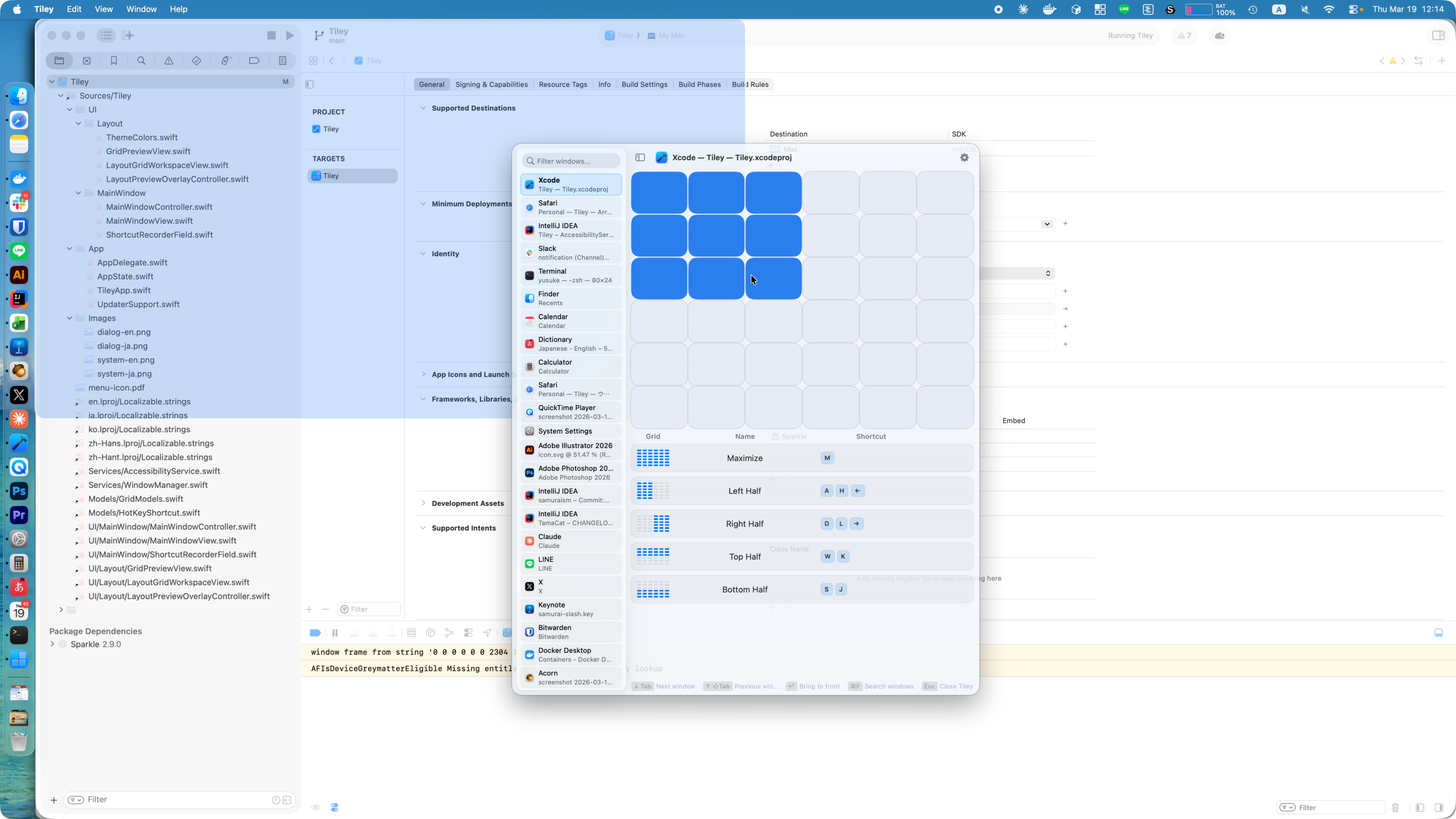 Tiley Raster-Overlay – Bildschirmfoto